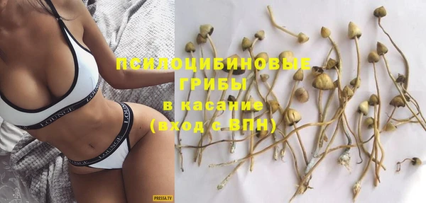 гидра Алзамай