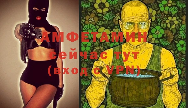 шишки Алексин