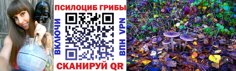 Псилоцибиновые грибы мицелий  где купить наркоту  Красноуральск 